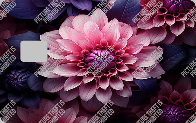 Bank  Card Sticker-BC-2279